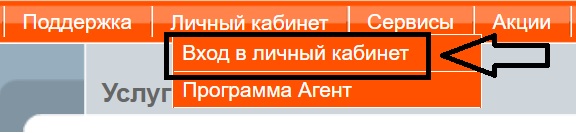 Сетилайт вход
